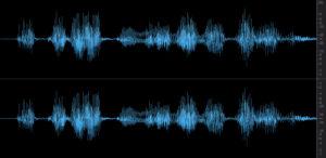analyzing audio from a voice